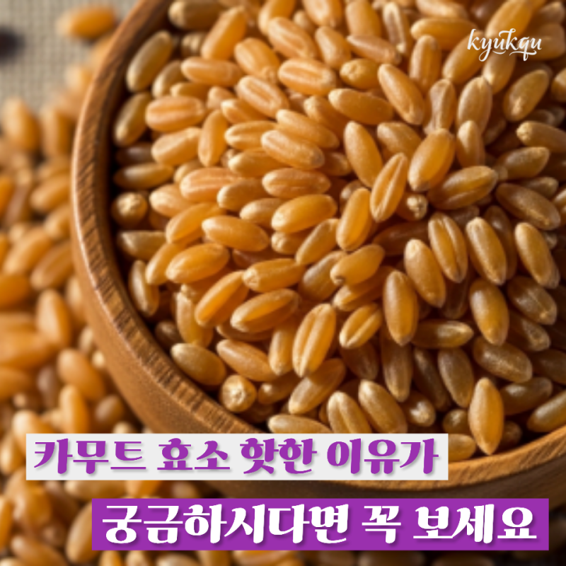 카무트 효소 요즘 주변에서 안 먹는 지인들이 없네요 장 건강에 그렇게 좋다는데 제가 정확....