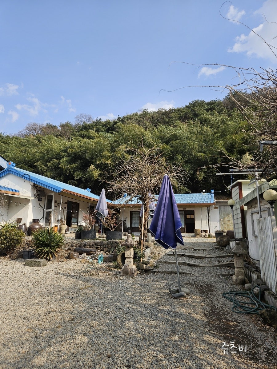송정메기매운탕 사진 6
