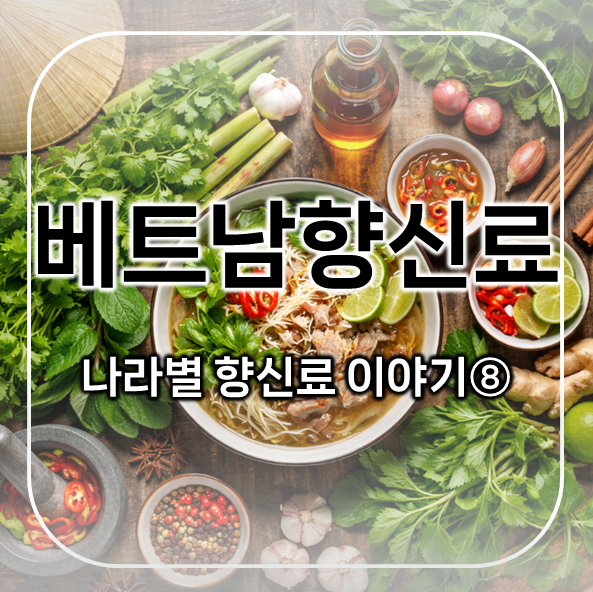  베트남향신료 편 | 나라별 향신료 이야기 8 | 고수와 피쉬소스가 만드는 깊은 풍미