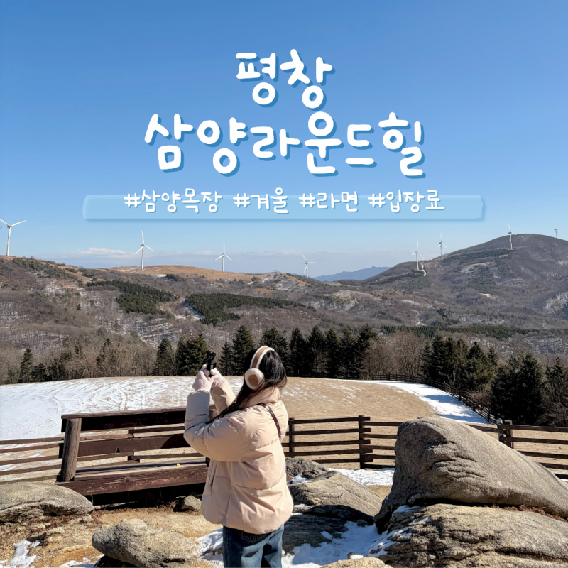 평창 대관령 삼양라운드힐 삼양목장 겨울 라면 입장료