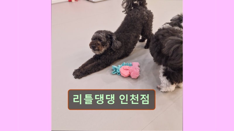 사진 2