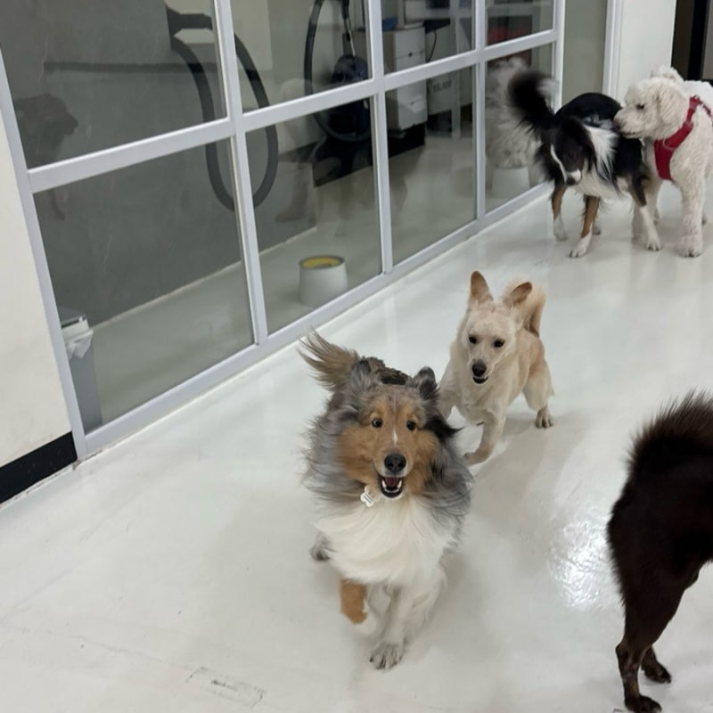 더그라운드