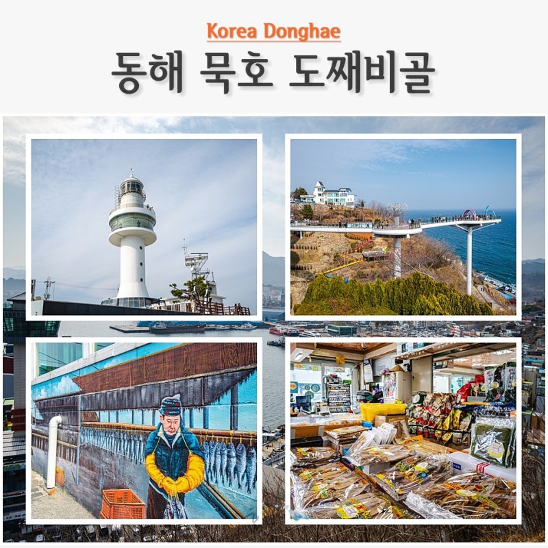 사진 7