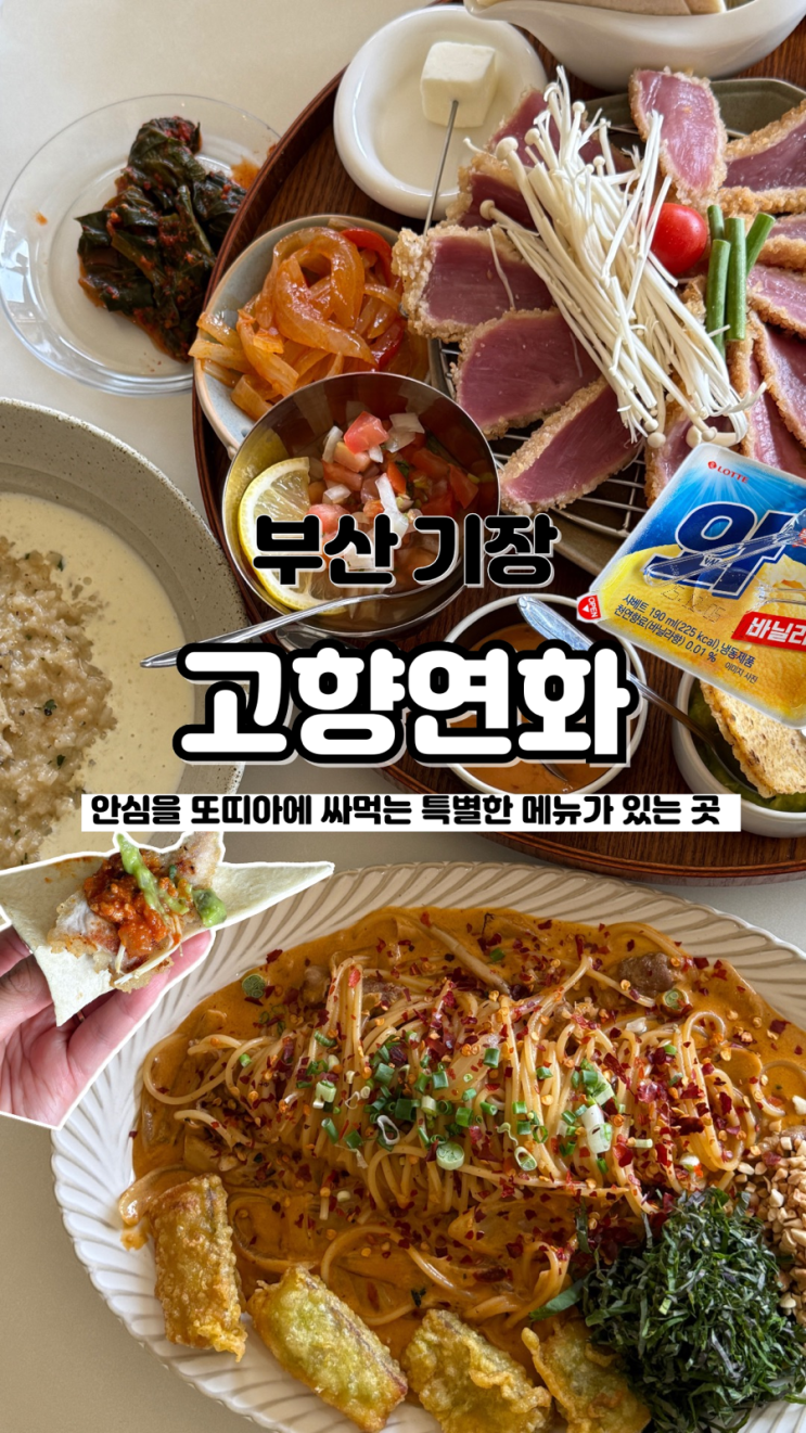  전국 최초 안심을 또띠아에 싸 먹는 내돈내산 부산 기장 오션뷰 맛집 고향연화