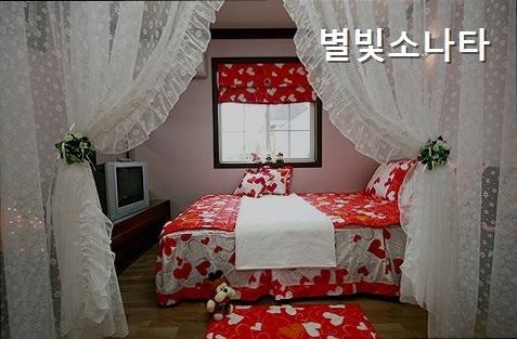 별빛소나타 사진 1
