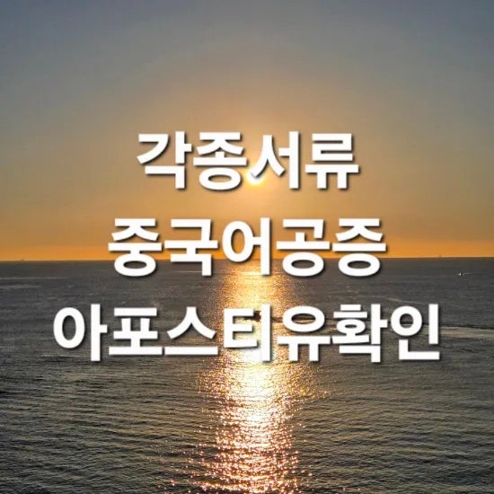  기본증명서 중국어공증 및 아포스티유 확인 진행사례