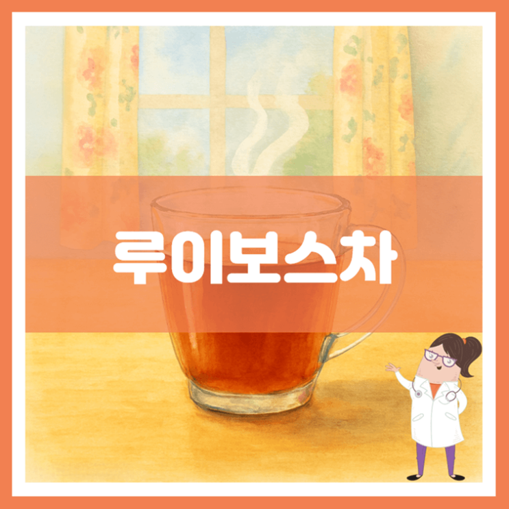  루이보스차 효능 섭취방법 부작용