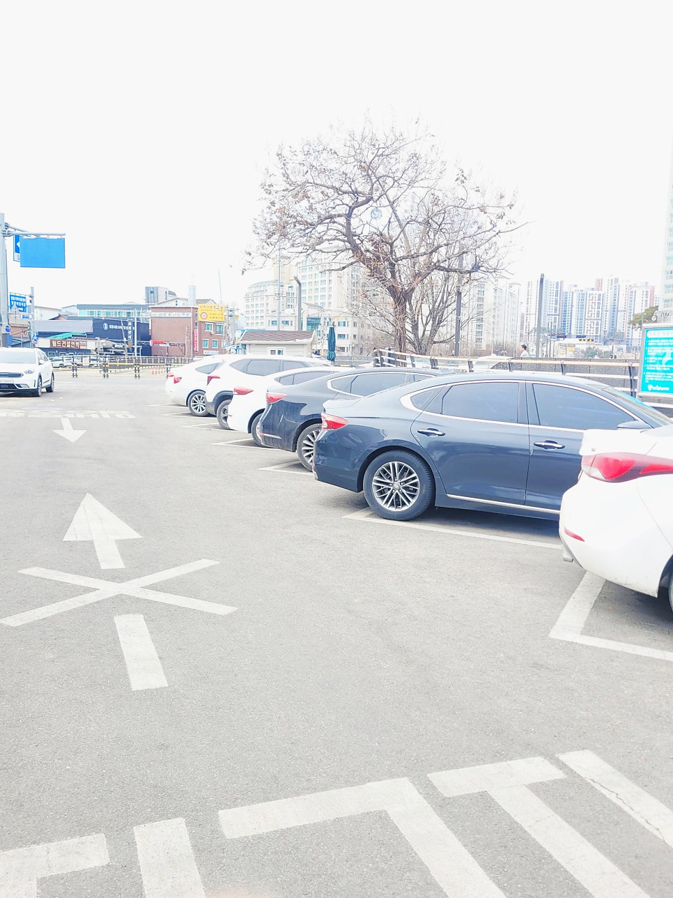 명가춘천닭갈비 사진 5