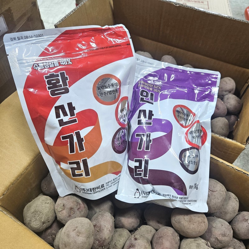 사과 배 과수 당도 증대 억제제 황산가리 인산가리 비료 사용방법