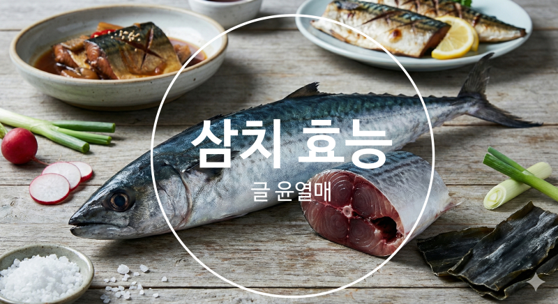 삼치효능 총정리｜혈관·두뇌·피부 건강 모두 잡는 바다의 보물