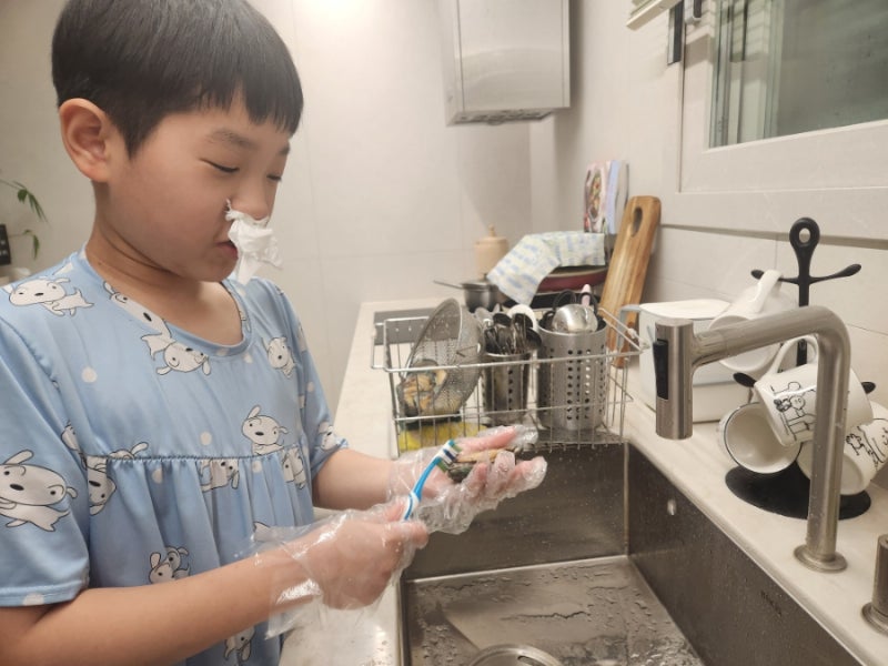 전복 손질법~전복 닦는 솔