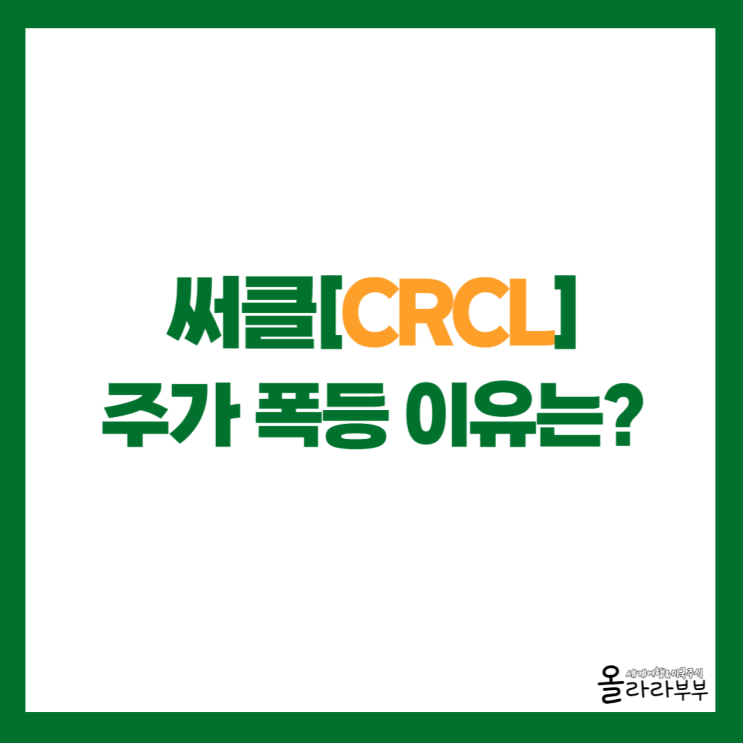  써클 CRCL 주가 폭등, 실적 어떻길래?