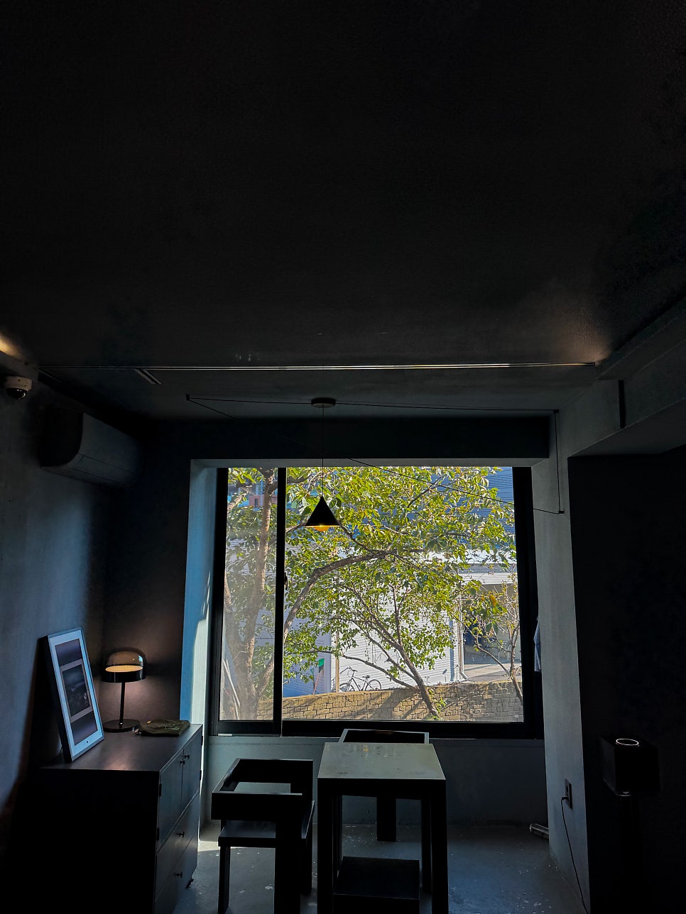 핌트 사진 6