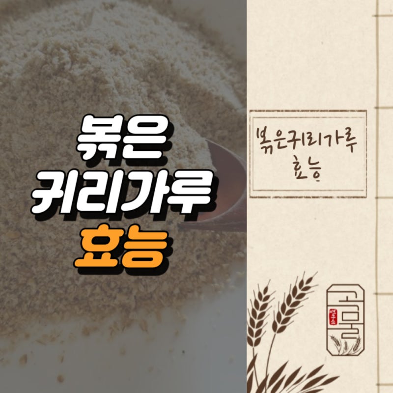 볶은귀리가루 효능 및 칼로리, 식이섬유로 채우는 건강한 다이어트 식단