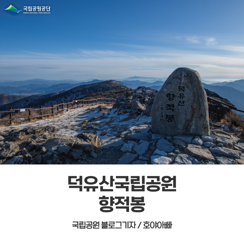사진 9