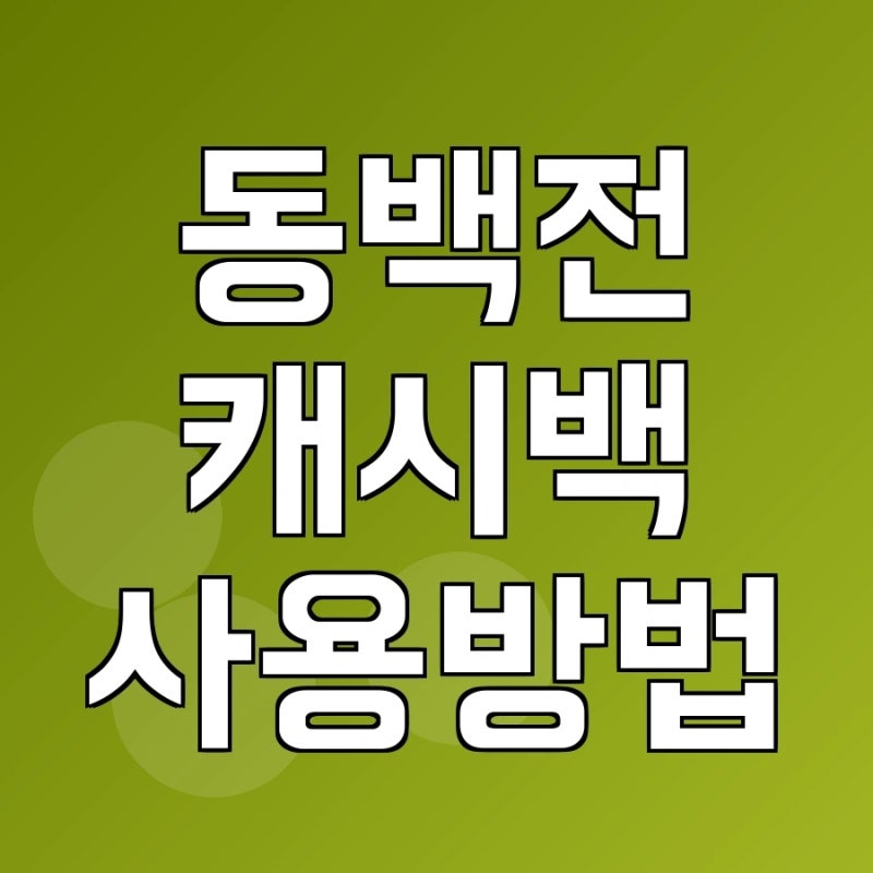 동백전 캐시백 사용방법 및 한도 적립 미제공 기준