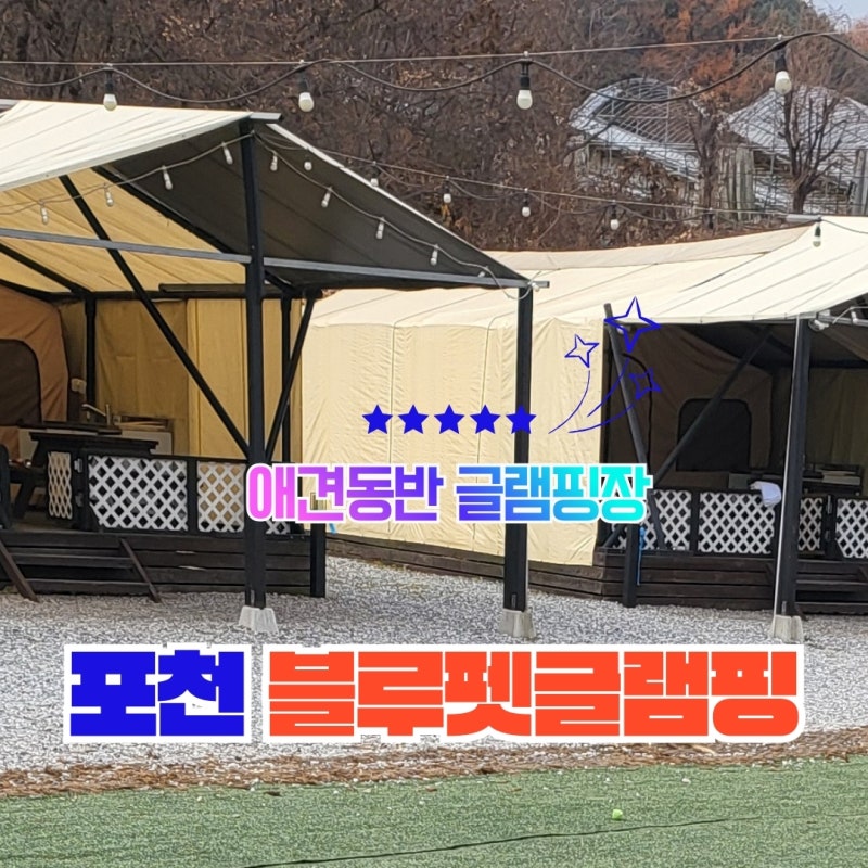 사진 7