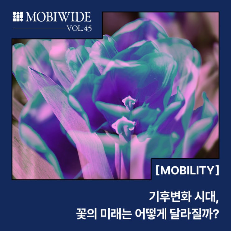  기후변화 시대, 꽃의 미래는 어떻게 달라질까?