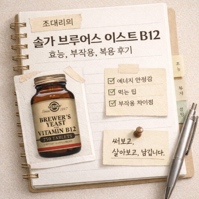 조대리의 솔가 브루어스 이스트 B12 효능, 부작용, 복용 후기