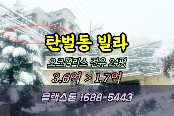  탄벌동 연립 경매 오크팰리스 빌라 2024타경69048