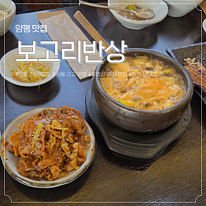 유명산 자연휴양림 근처 양평 맛집 보고리반상 솥밥 후기