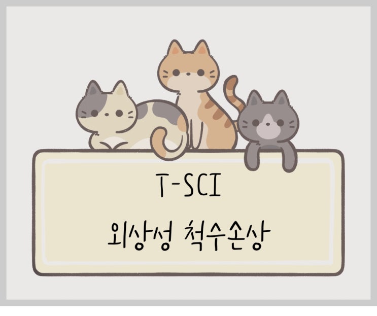  T-SCI (외상성 척수손상) 케이스스터디