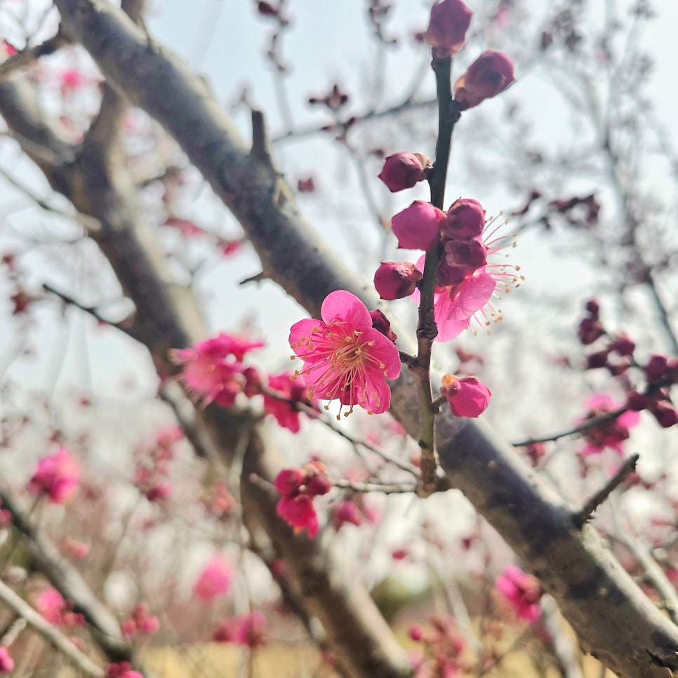 우주여행펜션 사진 1