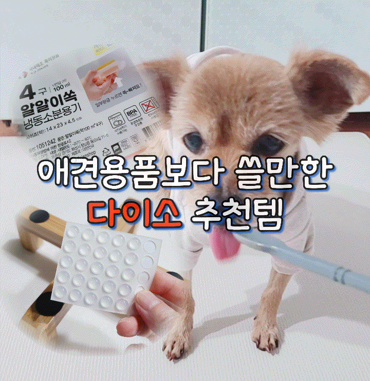  써보니 애견용품보다 좋았던 다이소 추천템 3가지