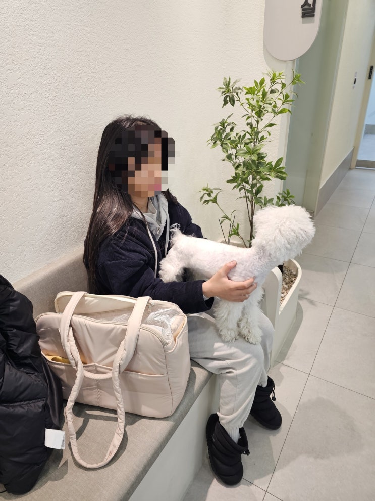  제주숨동물의료센터 누룩이 첫 건강검진 후기