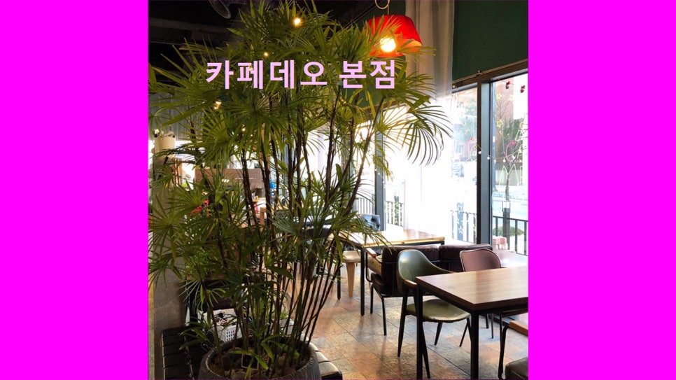 카페데오 사진 1