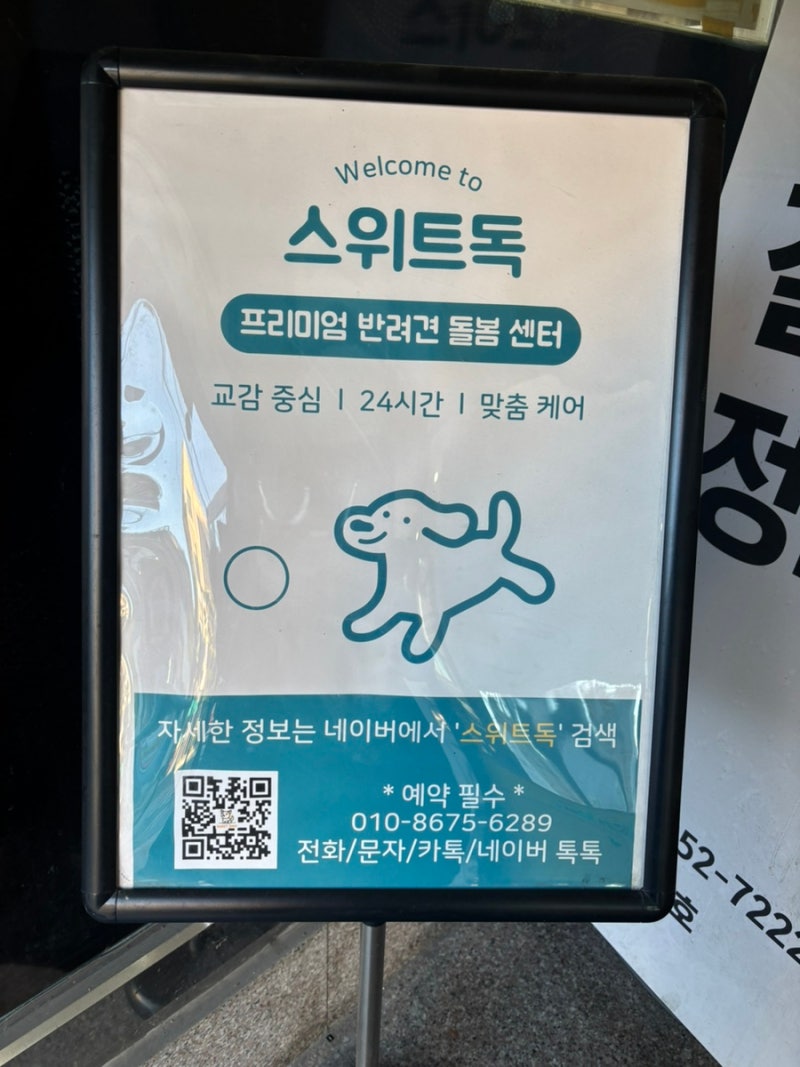 사진 2