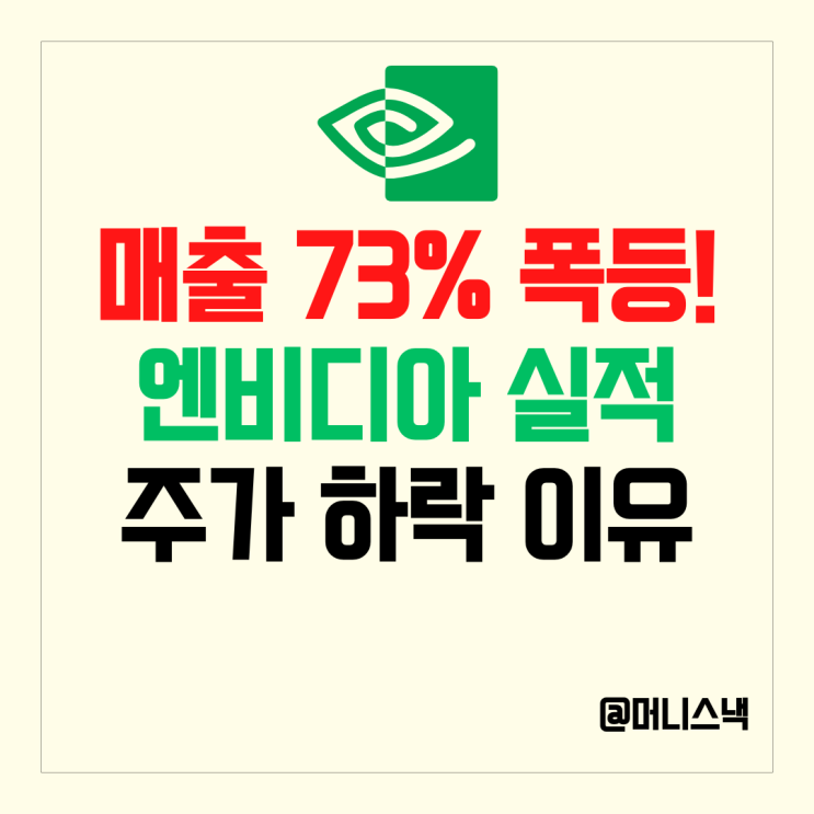 매출 73% 폭등에도 엔비디아 실적 주가하락 뭐가 문제야?