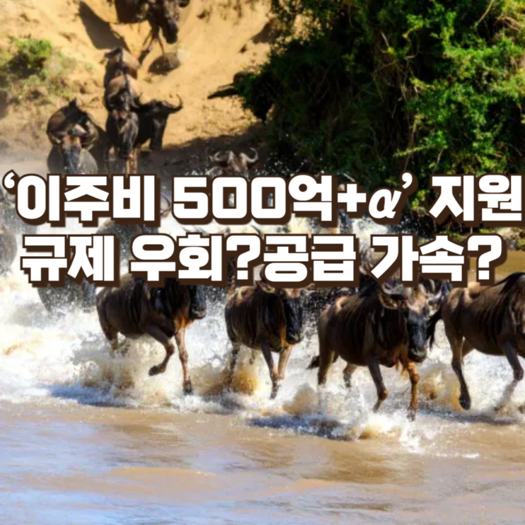  서울시 ‘이주비 500억+α’ 지원…규제 우회인가, 공급 가속 장치인가