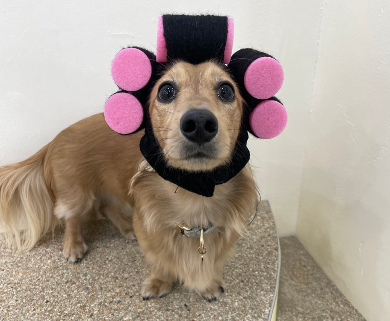 사진 3