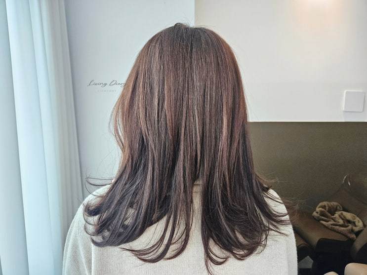  광교 미용실 재방문각! 광교 복구크리닉 맛집 헤어클리닉 Before/After