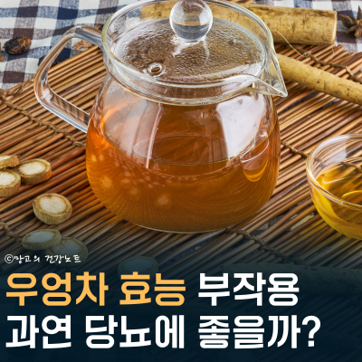 우엉차 효능 효과 부작용 당뇨 다이어트에 좋을까? 물 대신 마시다 큰일나요!