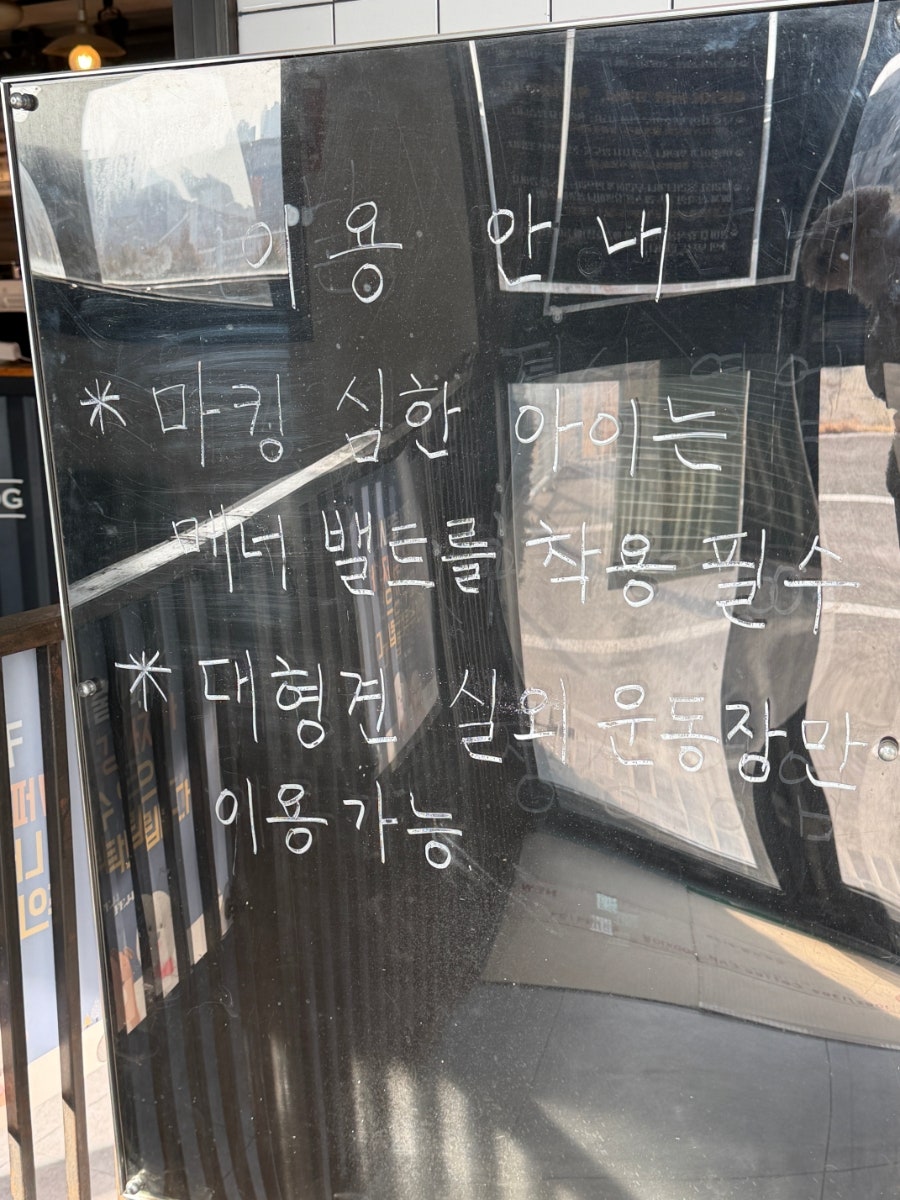 제이독 사진 5