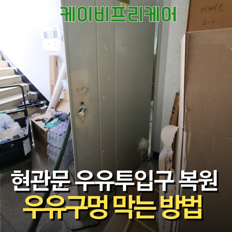 아파트 현관문 우유투입구 마개 대신 '복원'! 우유구멍 완벽히 막는법