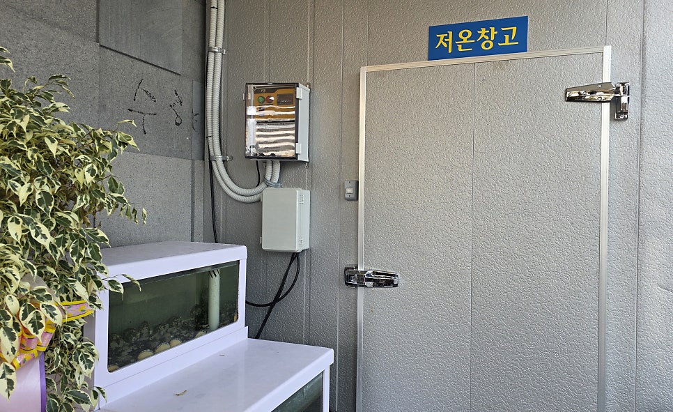 세종산삼도가 사진 4
