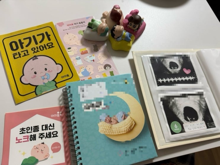  [임신 6주차 증상] 먹덧, 입덧의 시작 / 아기 심장소리 확인 및 마미톡, 산모수첩 발급 후기