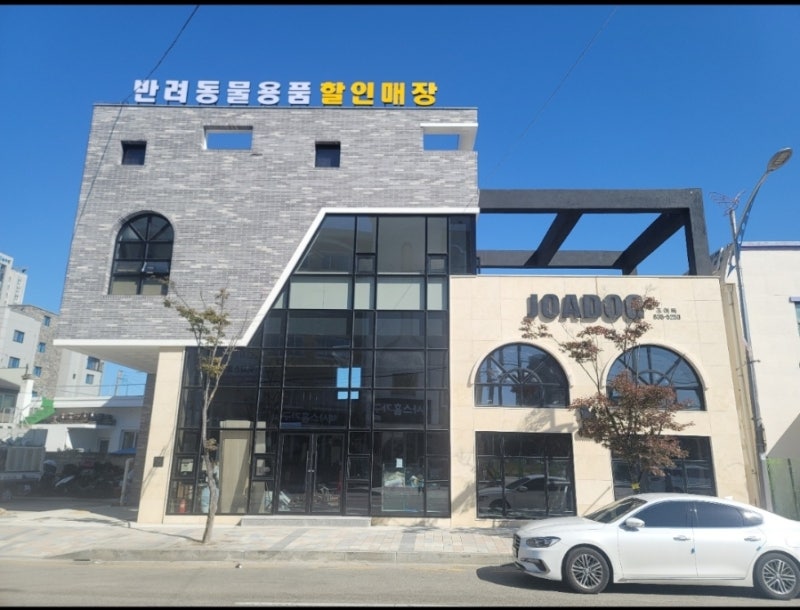 조아독