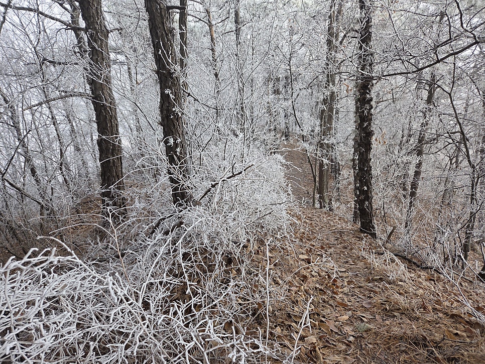 신통산 사진 6