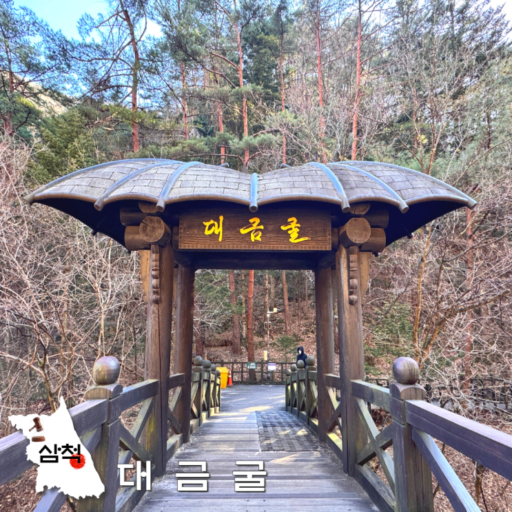  삼척 대금굴 환선굴 모노레일 예약 입장료 강원도 동굴 박쥐