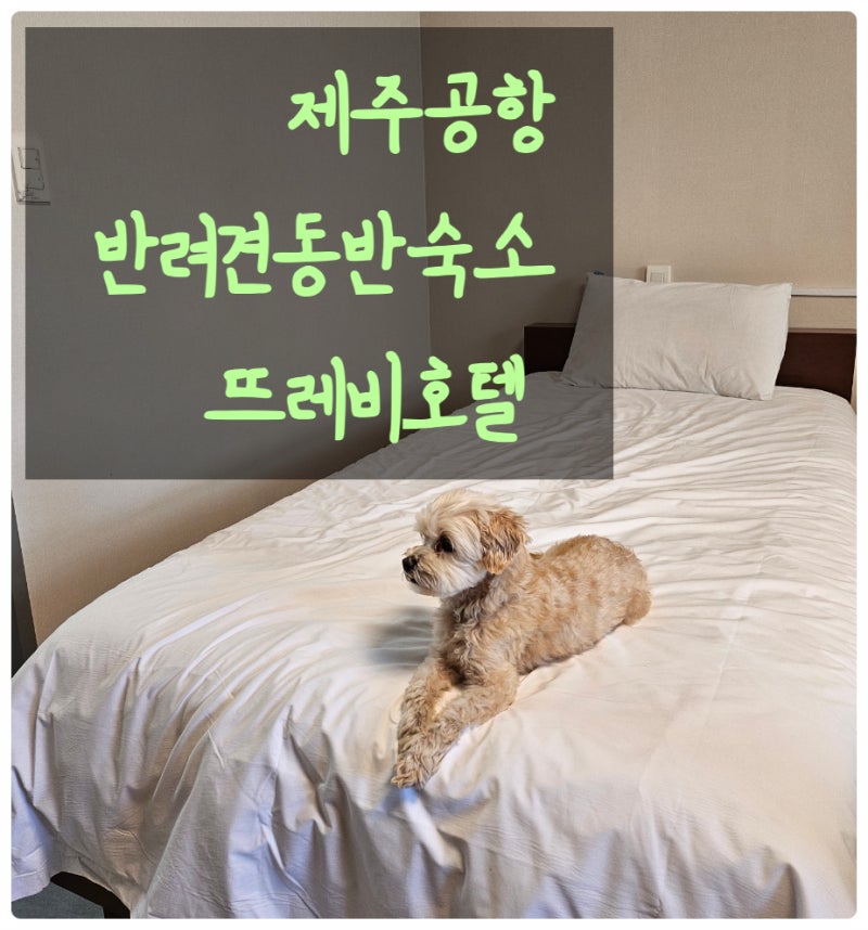 뜨레비호텔
