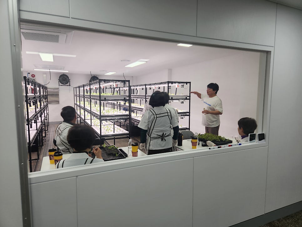 팜스퀘어 사진 1