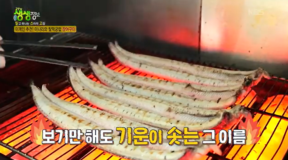 두물장어 사진 5