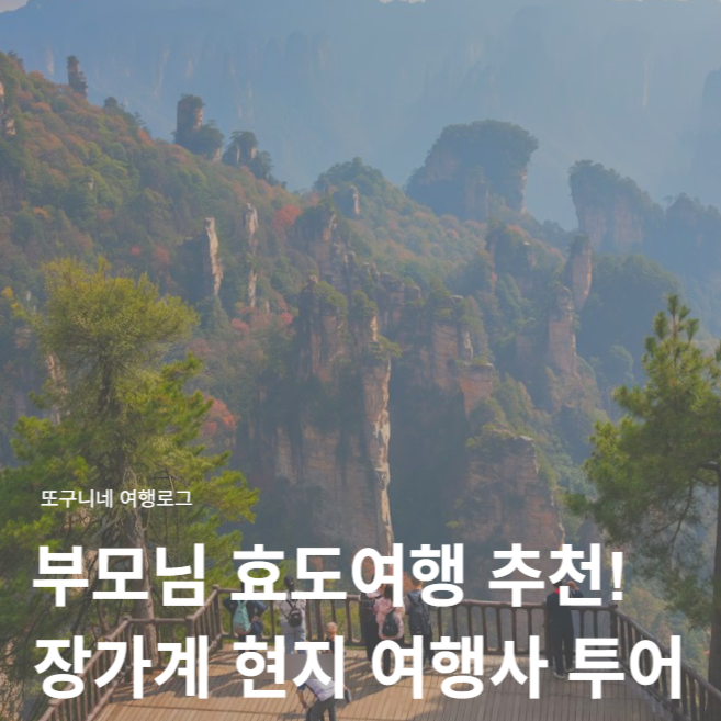  부모님 효도여행 추천! 장가계 현지 여행사 투어 업체 가격 후기 총정리