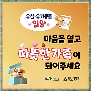 천안유기동물입양방법과 절차 총정리, 반려동물입양 지원금·입양교육까지 확인하세요