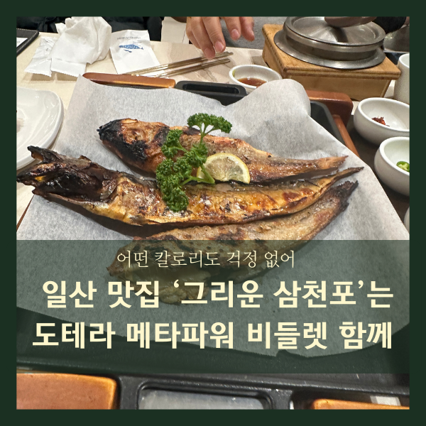  도테라 메타파워 비들렛으로 안심하고 일산 맛집 '그리운 삼천포' 즐기기