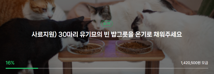   26년 2월, 30마리 유기묘의 빈 밥그릇을 온기로 채워주세요